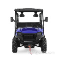 Jeep Style 400cc EFI UTV avec EPA